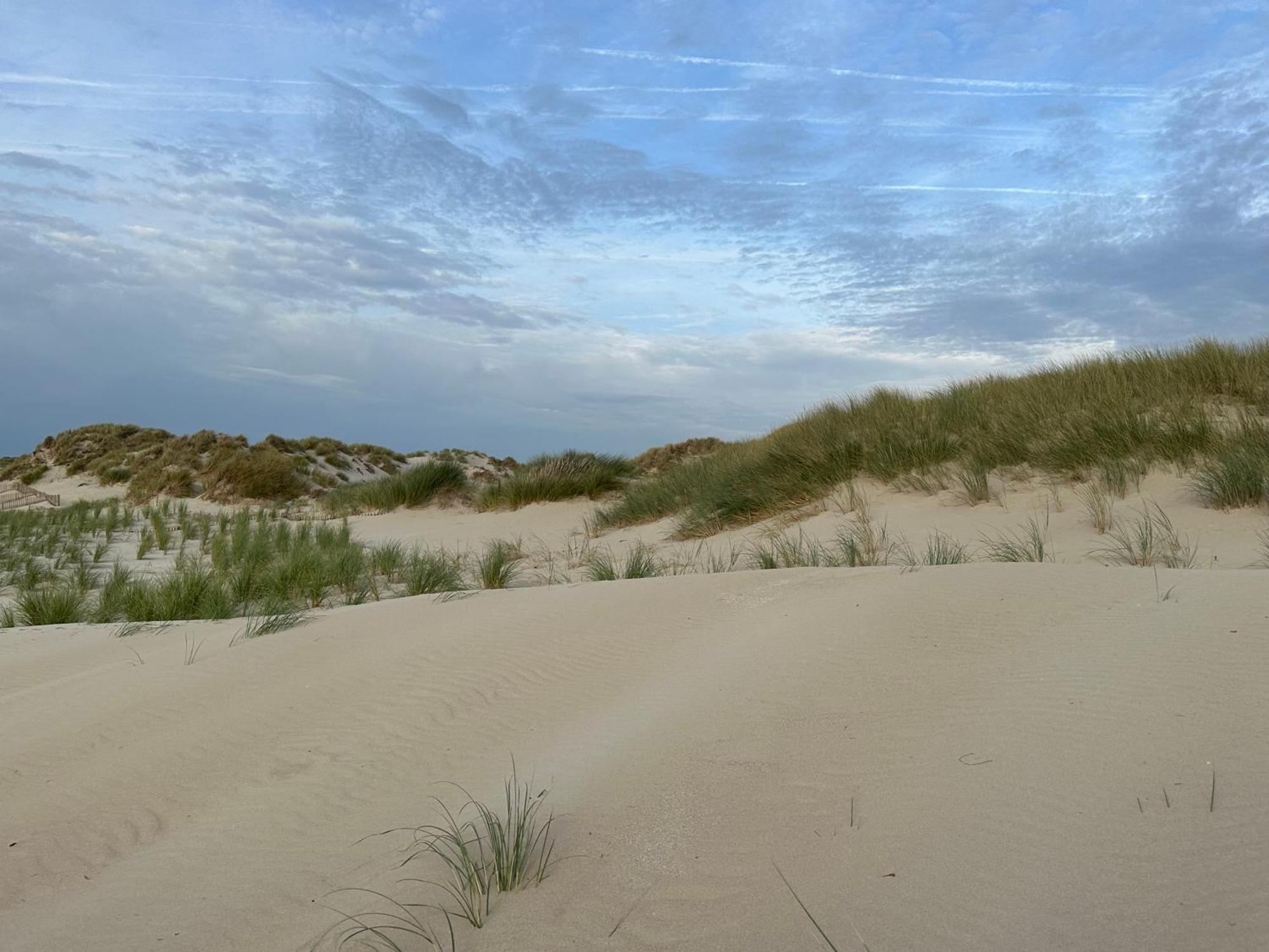 Bleu Blanc Dunes Appartement Plage Merlimont 10 Mn Berck Le Touquet Extérieur photo